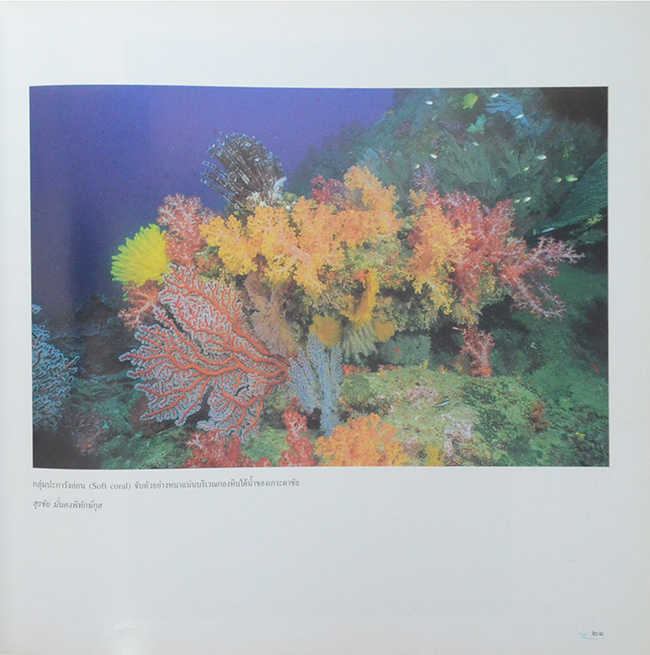 อันดามันและอ่าวไทย (ขายตามสภาพ)