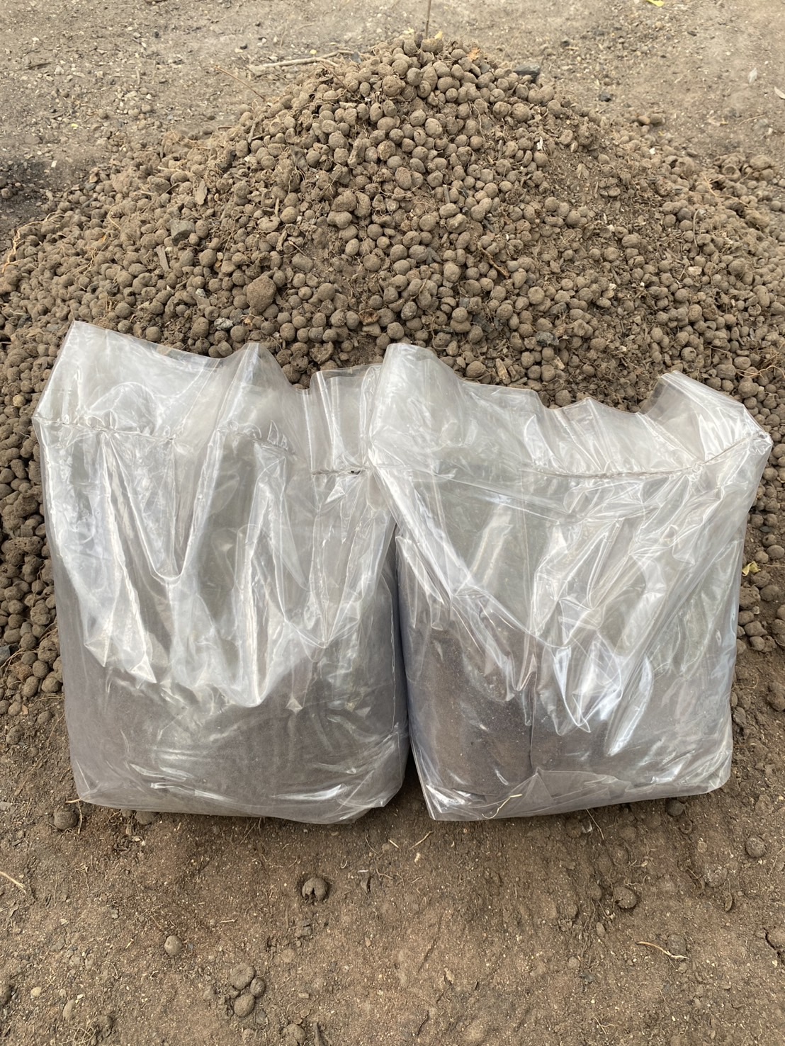 ดินหมักผสมขี้แพะ