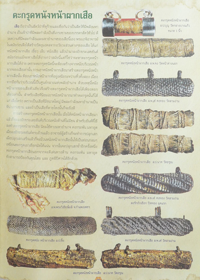 มงคลทิพย์ ฉบับที่ 86 เมษายน 2554