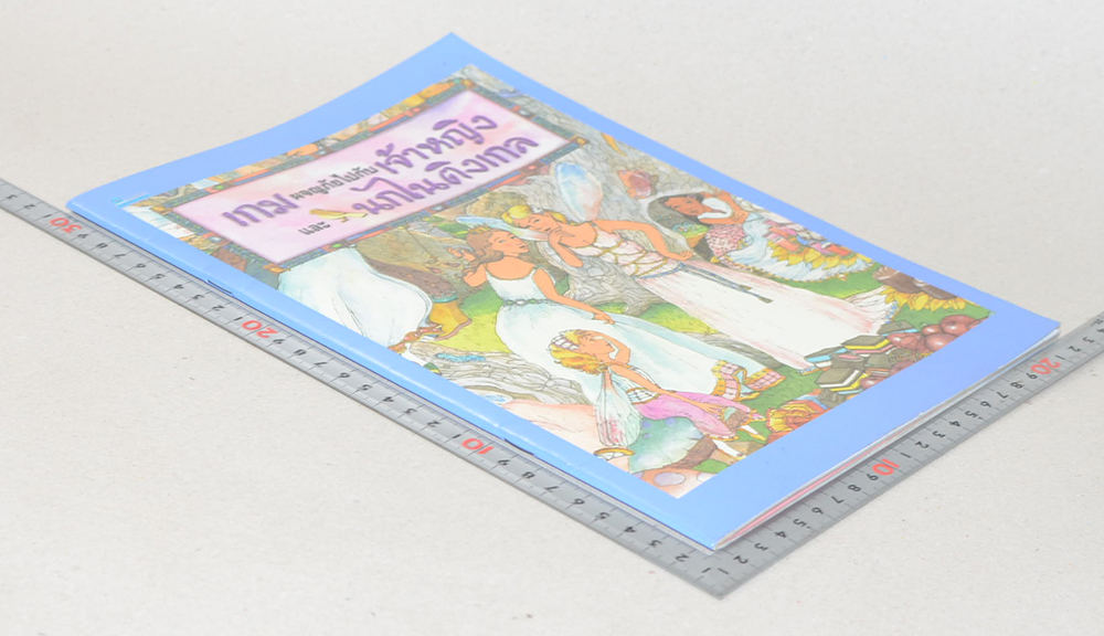 เกมผจญภัยไปกับเจ้าหญิง และนกไนติงเกล