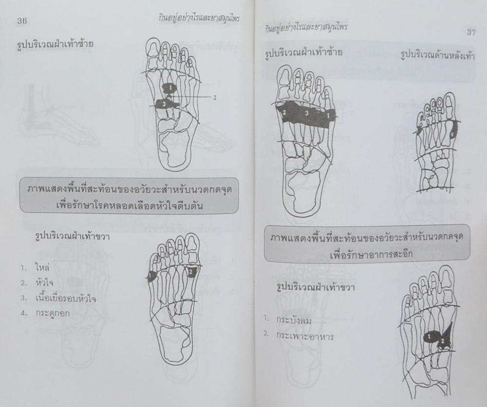 นายพิเชฏฐ์ จันทรสมบัติ (กินอยู่อย่างไรจึงจะมีอายุเกิน 100 ปี)