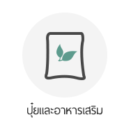 ปุ๋ยและอาหารเสริม grow shop thailand