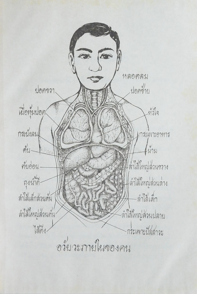 ตำรา “หมอ”