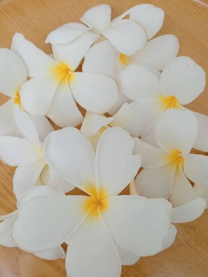 ดอกลีลาวดี (สีขาว) เก็บสด