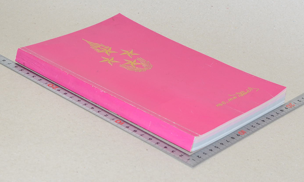 พลเอกพักตร์ มีนะกนิษฐ (ลำนำภูหลวง)