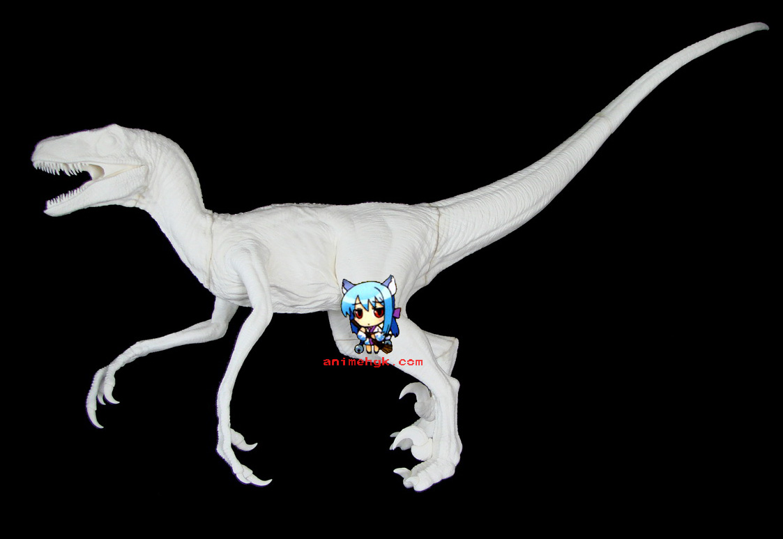 Dinosaur velociraptor raptor 1/5