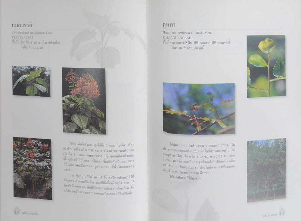 สมุนไพรไทย มรดกไทย