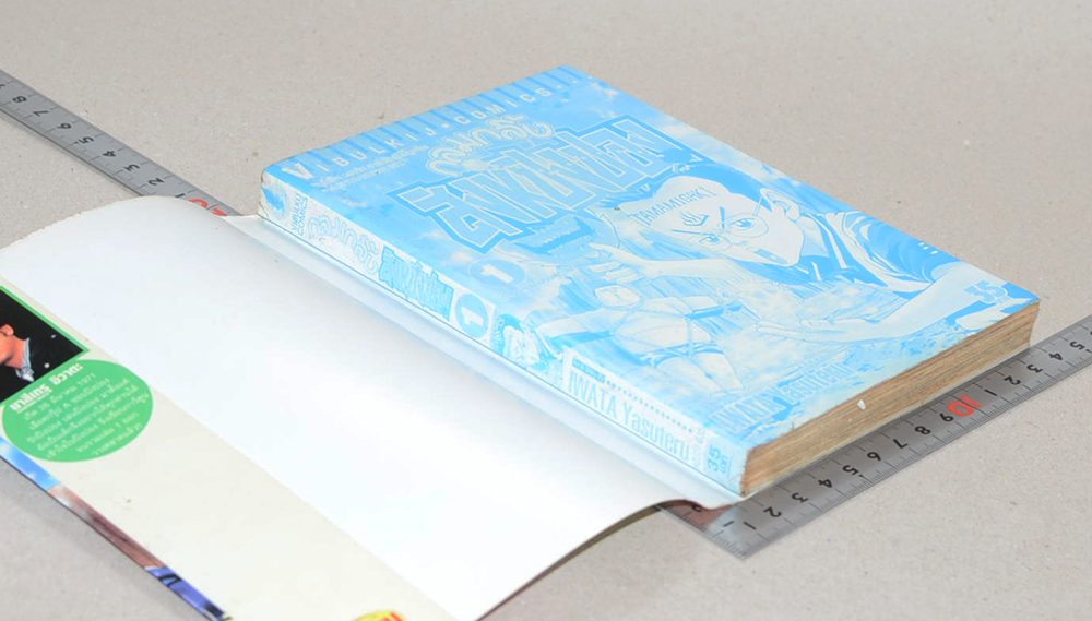 กลมกลิ้งสิงห์ปิงปอง (เล่ม 1-15 / ไม่จบ)