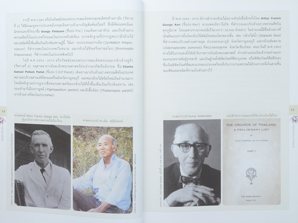 กล้วยไม้ป่าเมืองไทย