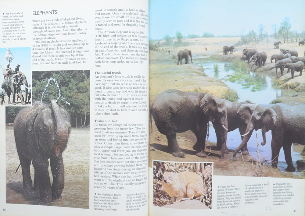 THE WORLD OF SCIENCE WARM-BLOODED ANIMALS