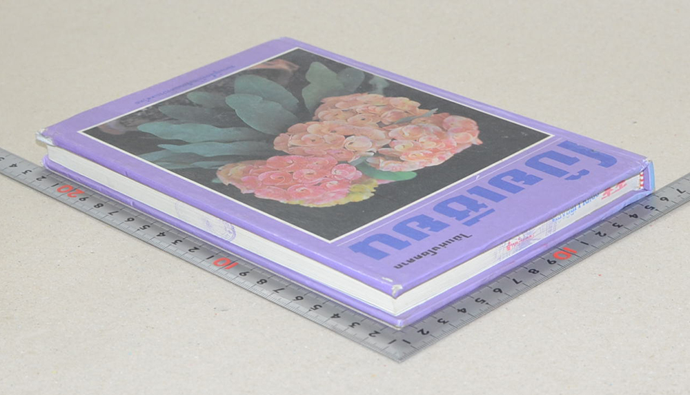 โป๊ยเซียน (ขายตามสภาพ)