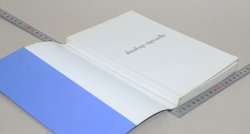 ล้มแล้วลุกปลุกเอเชีย