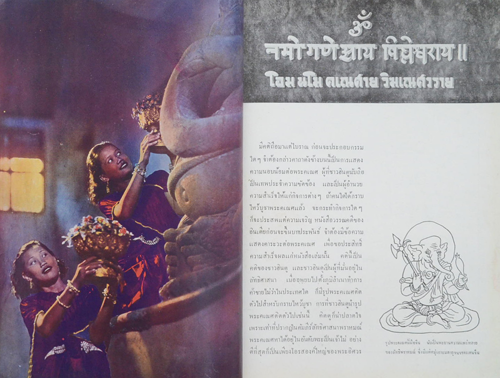 เรื่องของช้าง