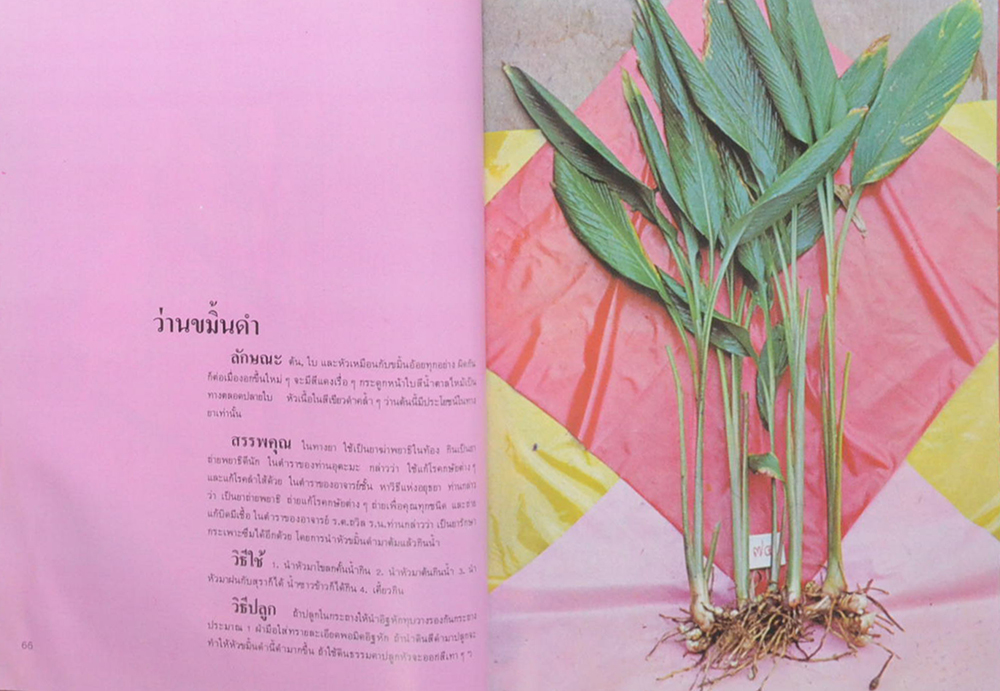 108 ว่านมหัศจรรย์ (เล่ม 2) (ขายตามสภาพ)