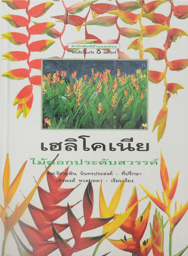 เฮลิโคเนีย ไม้ดอกประดับสวรรค์ (ขายตามสภาพ)