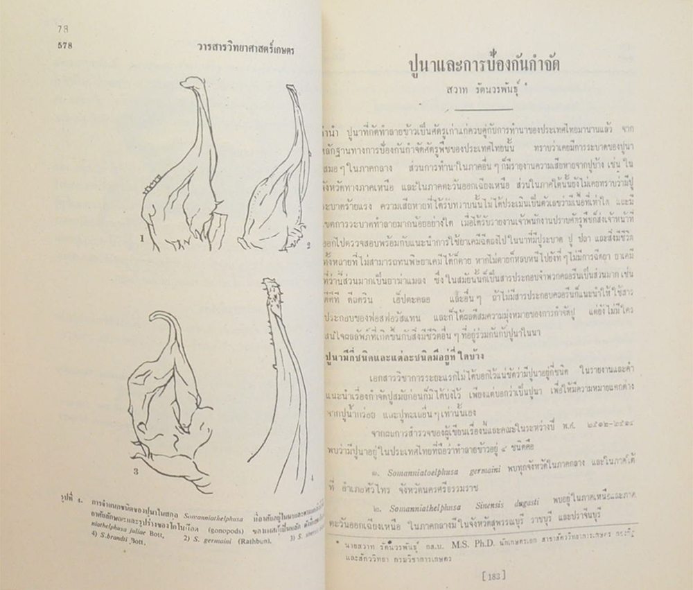 ดร.สวาท รัตนวรพันธุ์ (ปูนาในประเทศไทย)