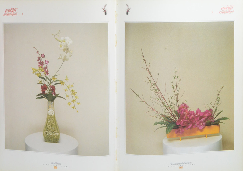 ดอกไม้แห่งแสงทิพย์ (เล่ม 6)