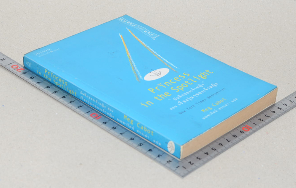 “บันทึกของเจ้าหญิง” ตอน เรื่องวุ่นๆของเจ้าหญิง