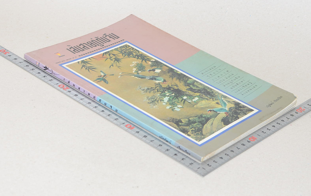 เส้นสายภู่กันจีน