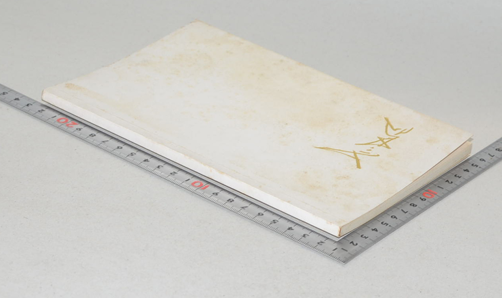 นายประดิษฐ์ วิสูญ (โรงพยาบาล หมอ และคนไข้ ในสหรัฐอเมริกา)