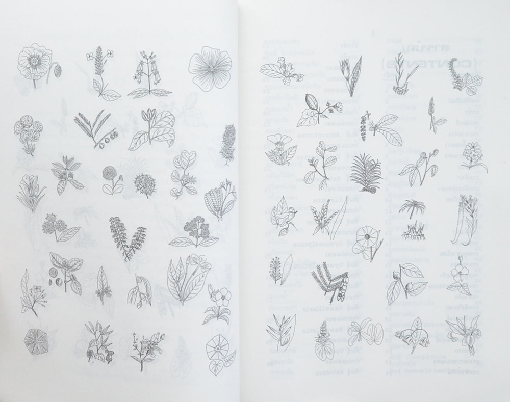 พจนานุกรมไม้ดอกไม้ประดับในเมืองไทย