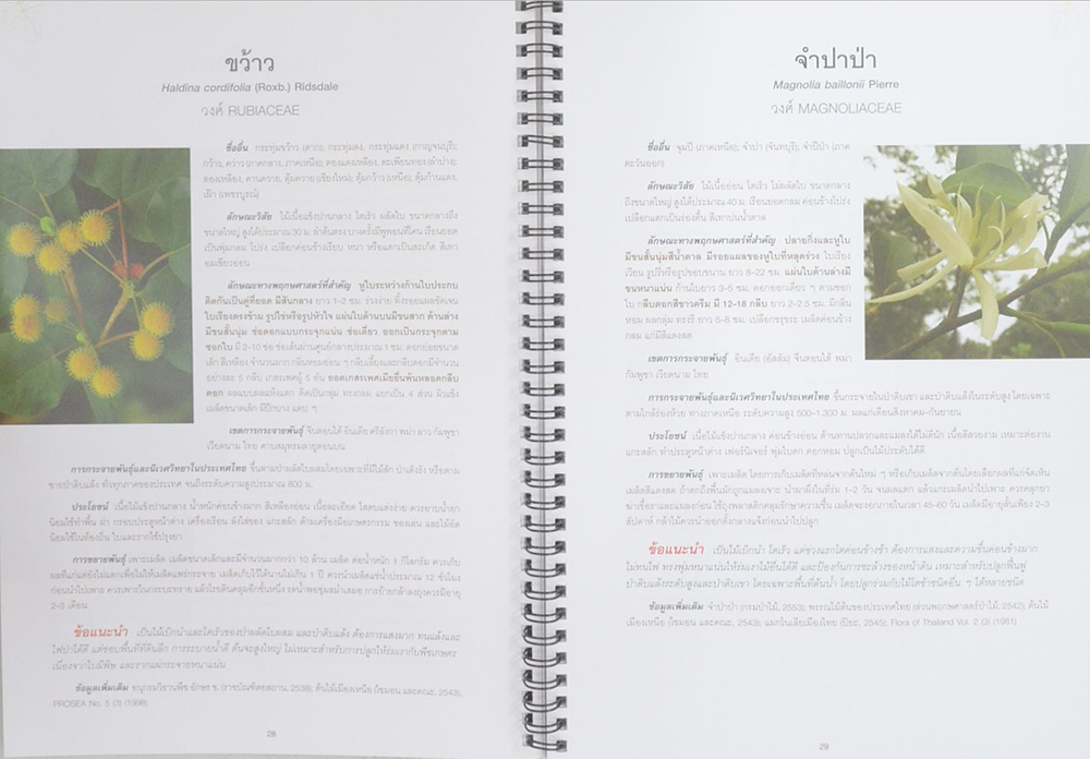 คู่มือเลือกชนิดพรรณไม้เพื่อปลูกป่าป้องกันอุทกภัย