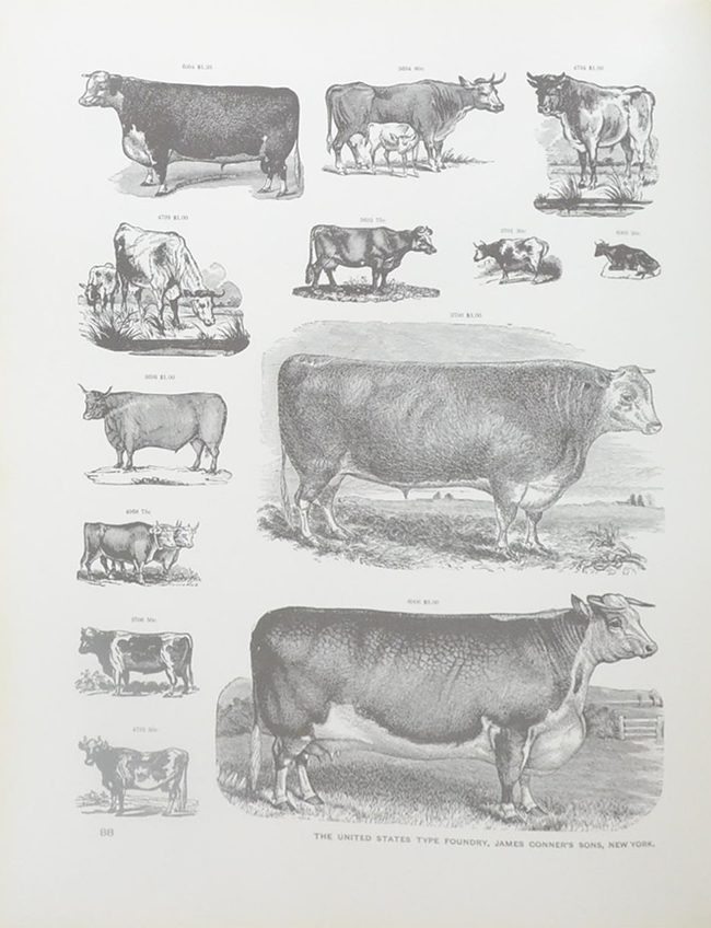 JAMES CONNER’S SONS ELEC TROTYPE SPECIMENS 1888