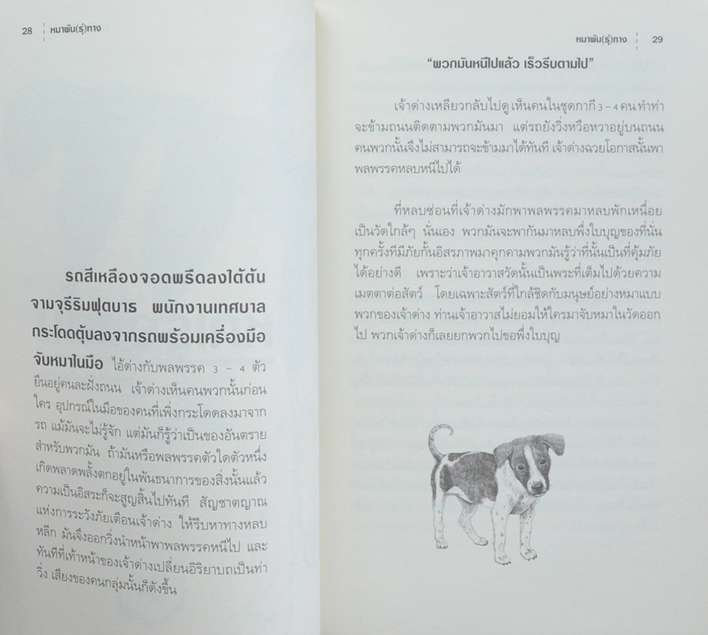 หมาพัน[ธ์]ทาง