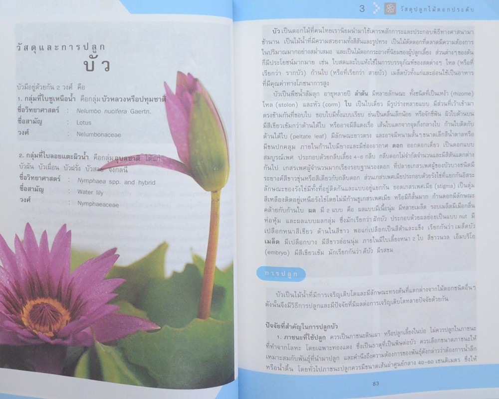 วัสดุปลูกไม้ดอก ไม้ประดับ