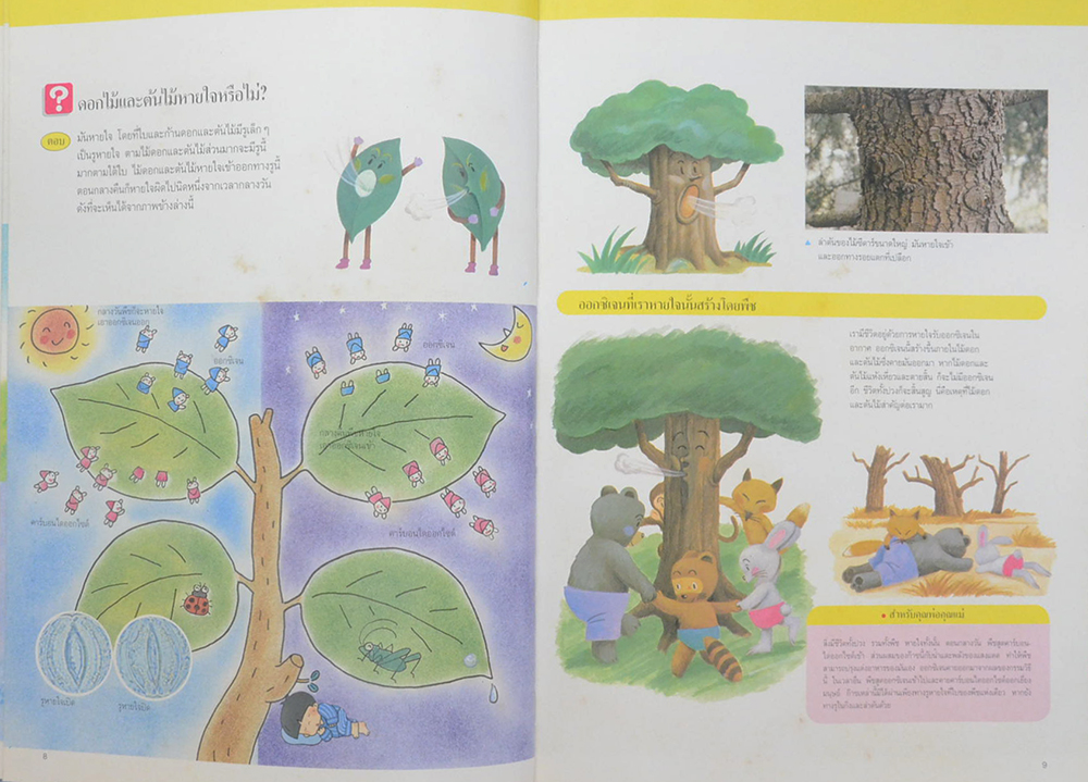 บุปผชาติและพฤกษา