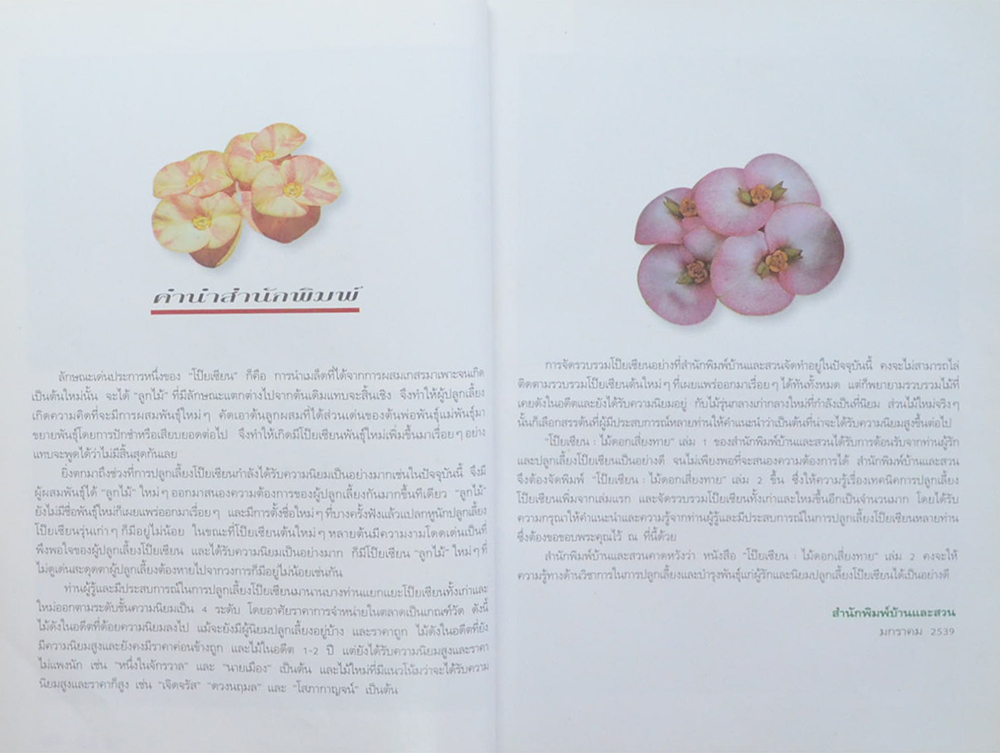 โป๊ยเซียน ไม้ดอกเสี่ยงทาย (เล่ม 2) (ขายตามสภาพ)