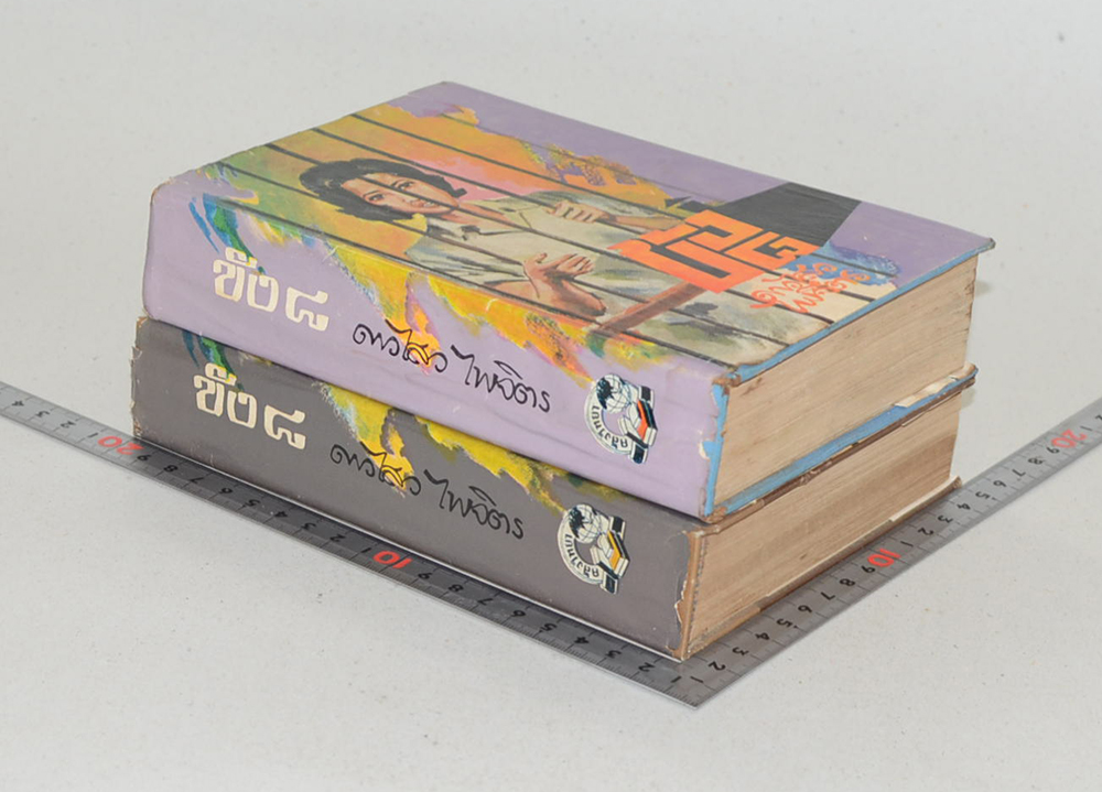 ขัง 8 (2 เล่มจบ)