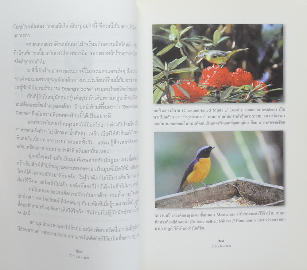 นักเลงนก