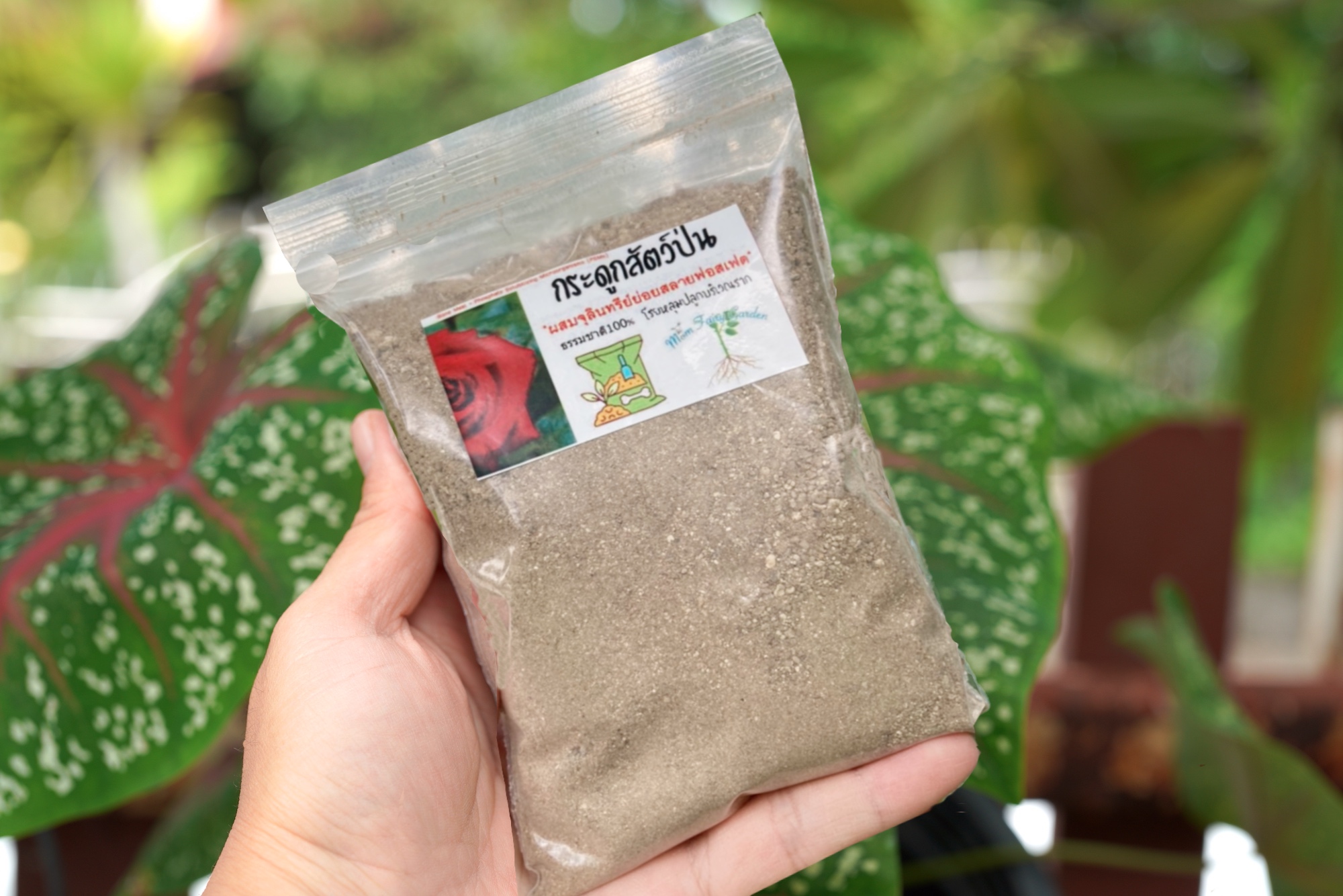 🔥ปุ๋ยกระดูกป่น ไม่เน่าปลายดอก แก้อาการใบไหม้จากการขาดฟอสฟอรัส แคลเซี่ยม บำรุงราก Bone Meal