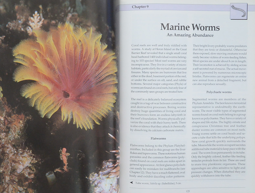 INDO-PACIFIC CORAL REEF FIELD GUIDE