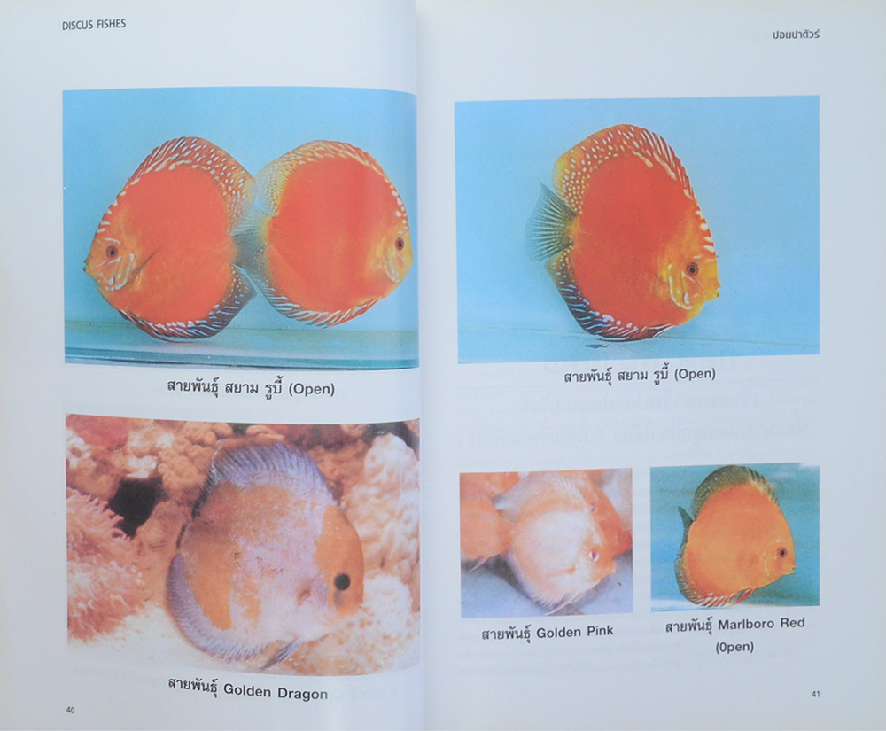 ปอมปาดัวร์