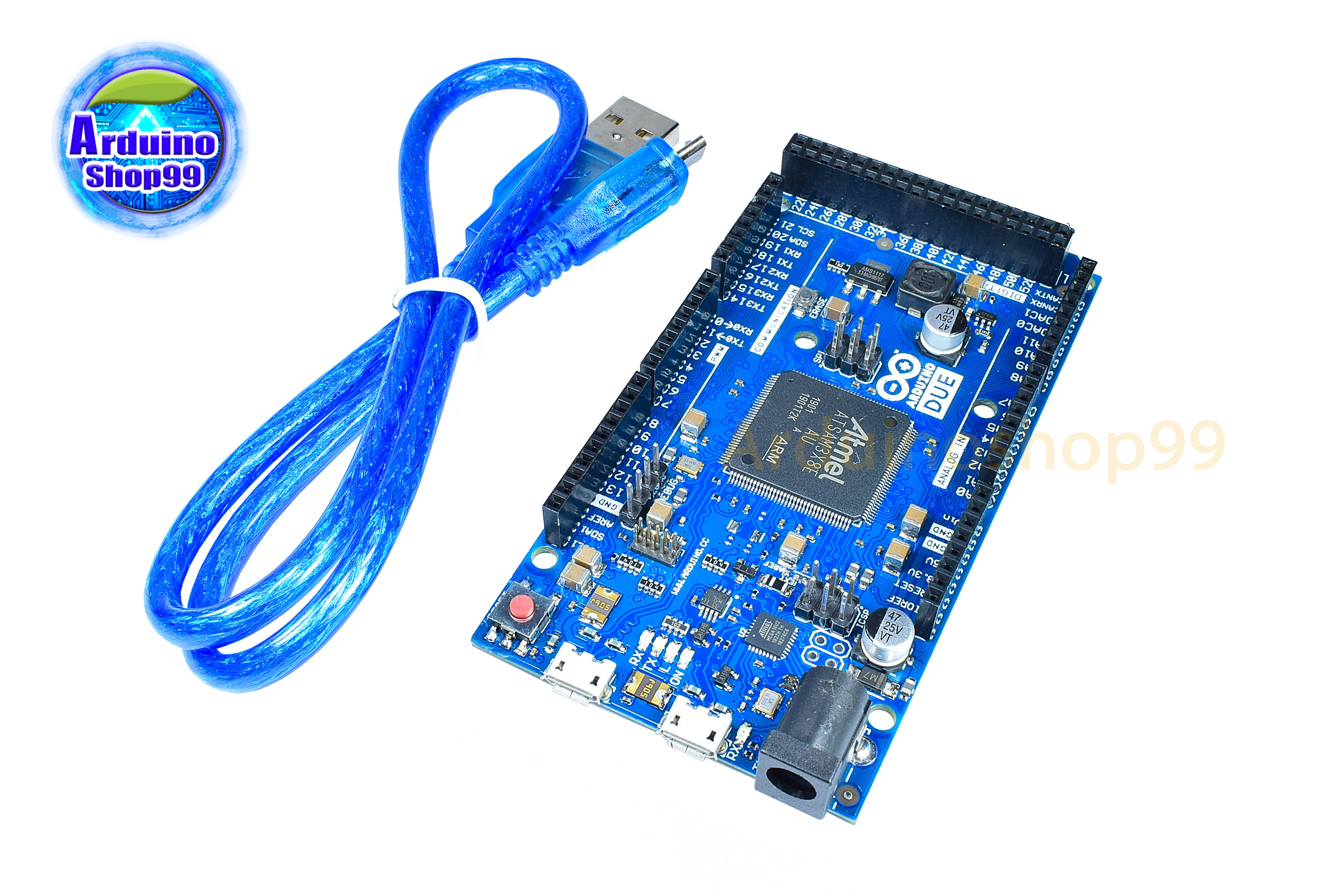 DUE 2012 R3 The first ARM 32-bit master control