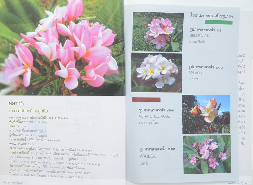 ลีลาวดี ไม้มงคล: ตำนานไม้ดอกที่เคยถูกลืม (ขายตามสภาพ)