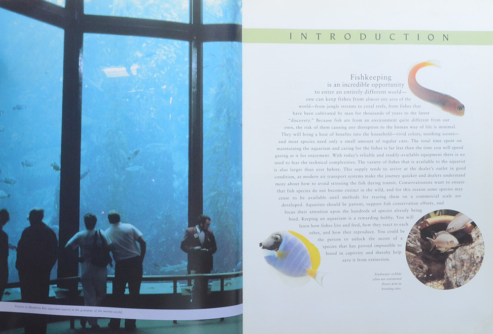 the Encyclopedia of Aquarium Fish