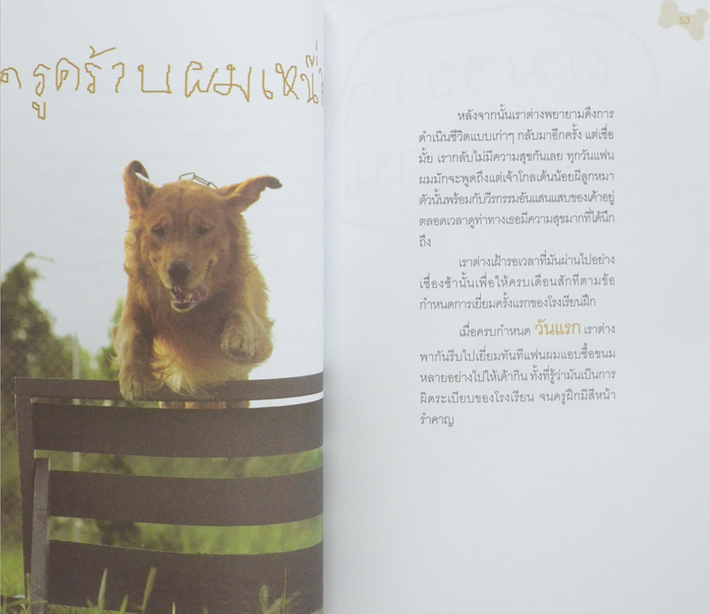 ผมชื่อ...คิงคองคร้าบ