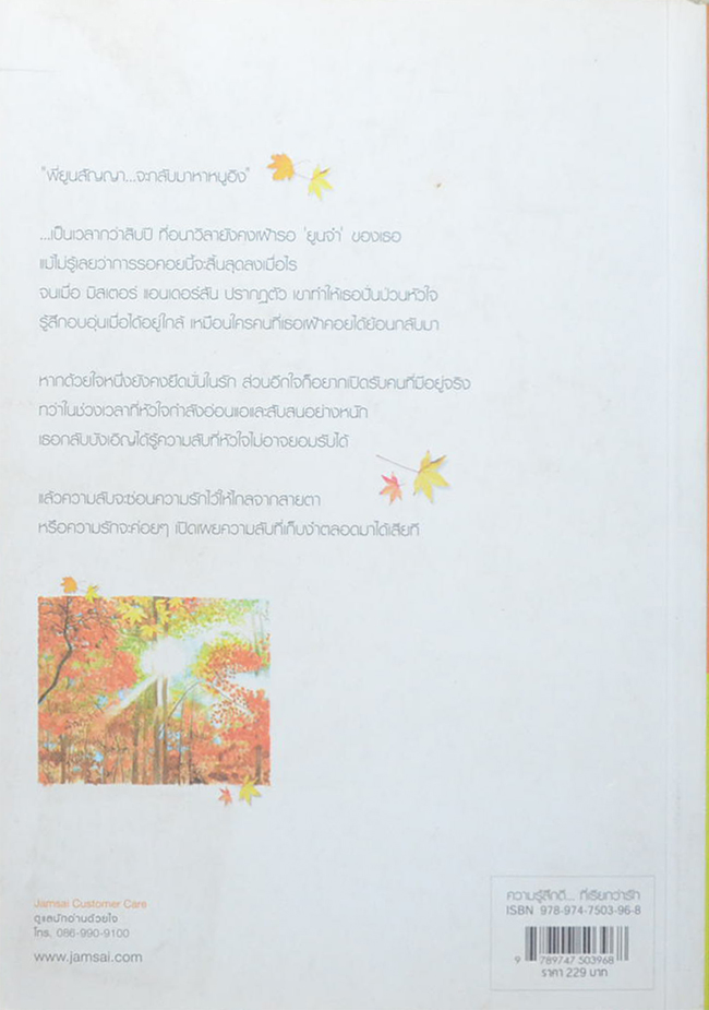 อุ่นไอ ใต้เงารัก