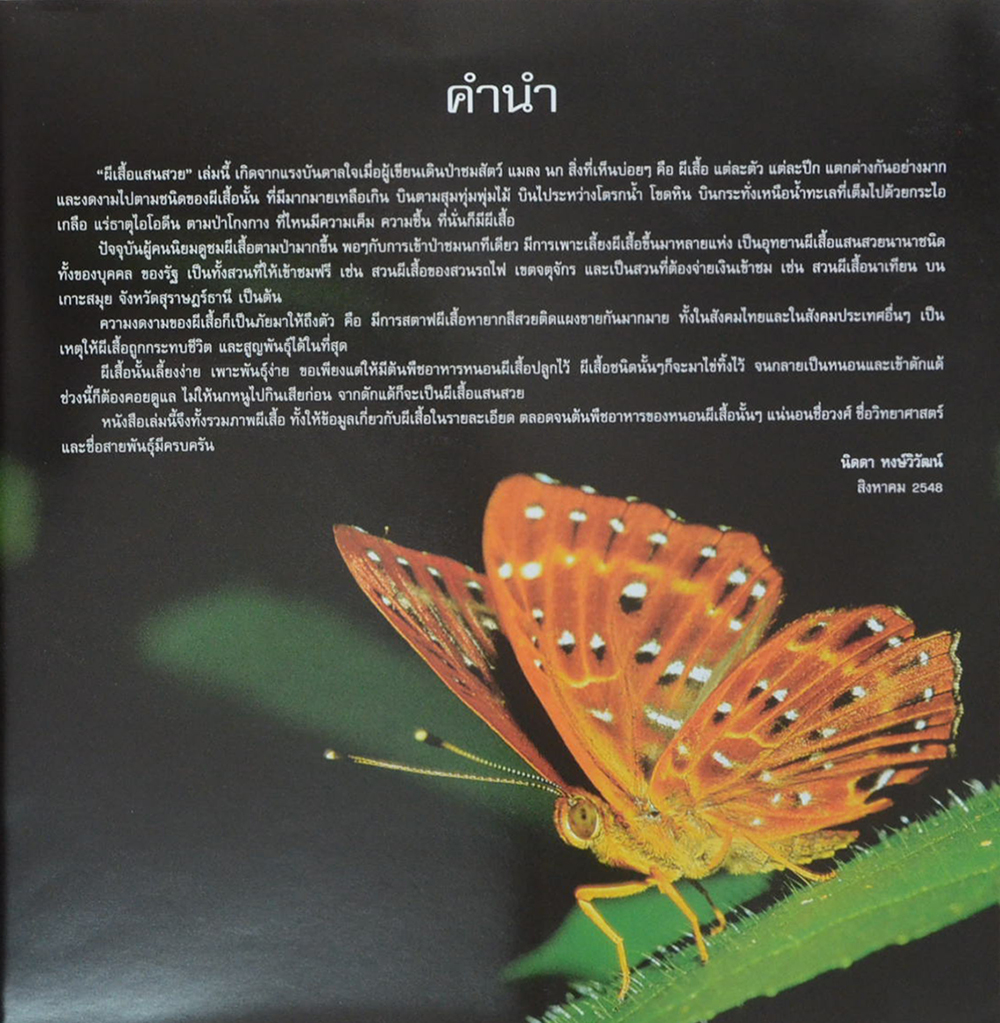 ผีเสื้อแสนสวย