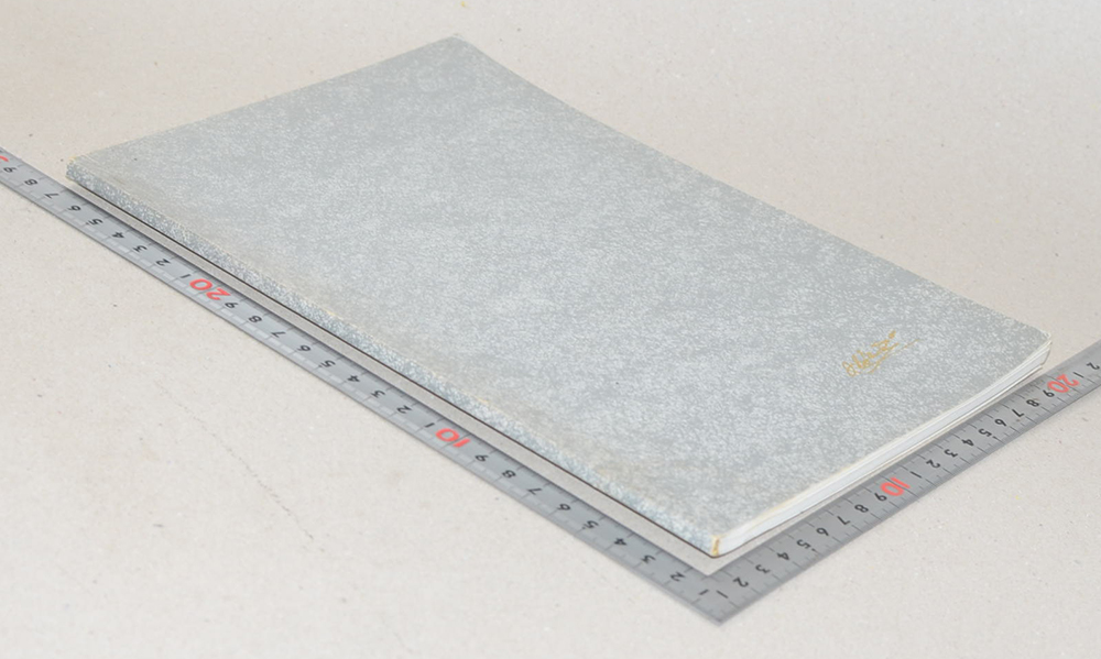 นายพินิจ ลีนะวัต (แสงส่องใจ)