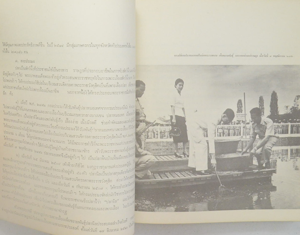 พระราชกรณียกิจของพระบาทสมเด็จพระเจ้าอยู่หัว (ขายตามสภาพ)