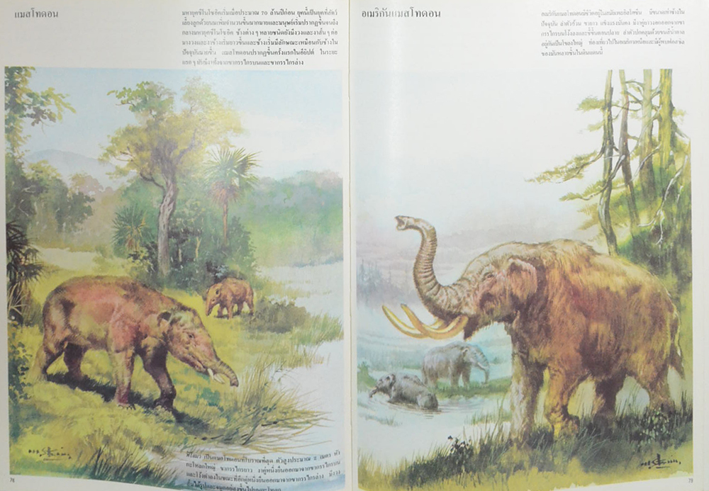 ชีวิต ยุคก่อนประวัติศาสตร์