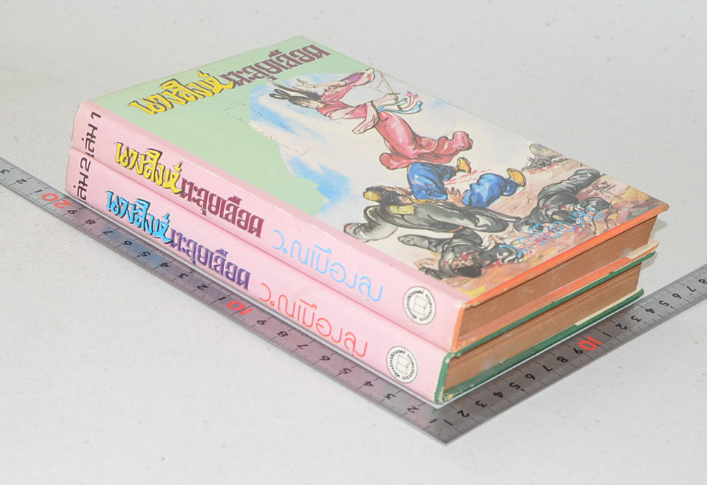 นางสิงห์ตะลุยเลือด (2 เล่มจบ)