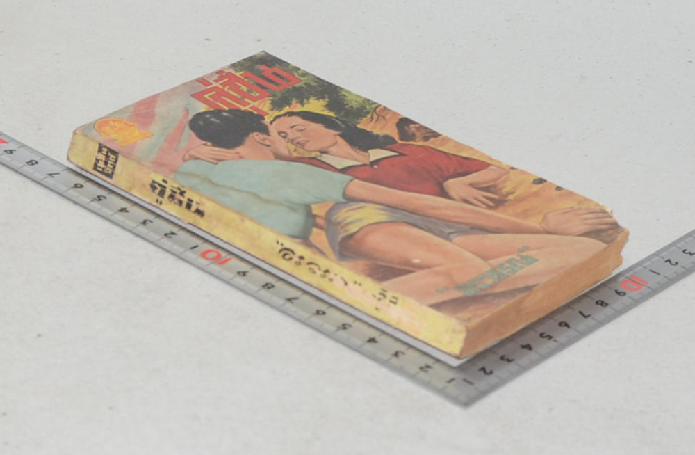 คู่ชื่น (เล่มเดียวจบ / เล่มเล็ก) (ขายตามสภาพ)