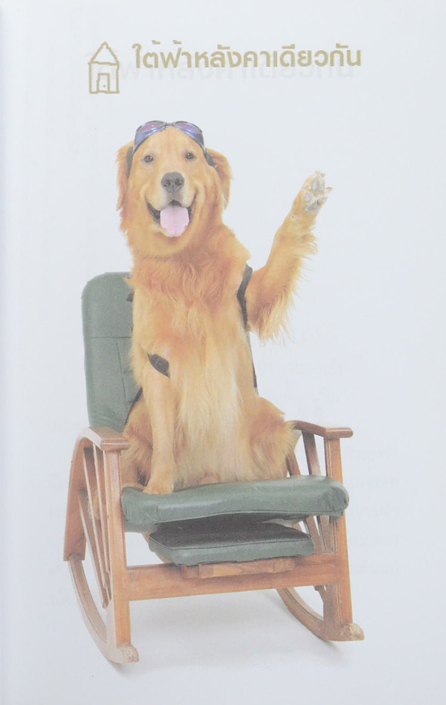 ผมชื่อ...คิงคองคร้าบ