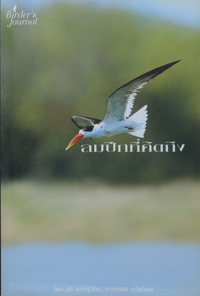 ลมปีกที่คิดถึง