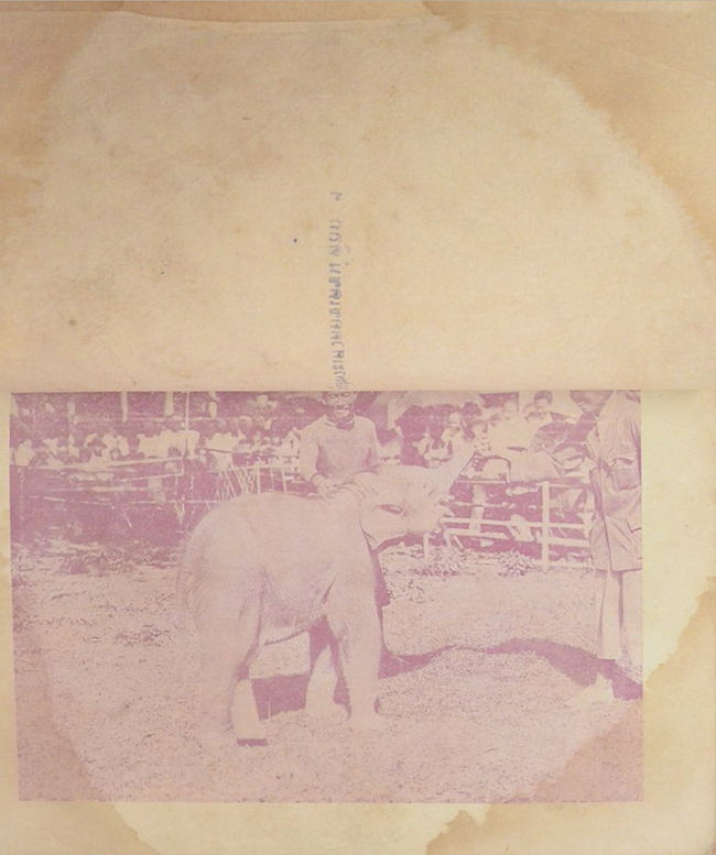 คำฉันท์ดุษดีสังเวย กล่อมพระเศวตคชเดชน์ดิลก (เล่มเล็ก / ขายตามสภาพ)